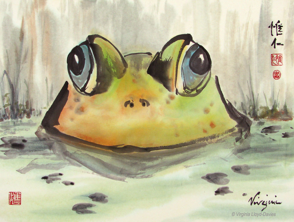 Green bullfrog head in water