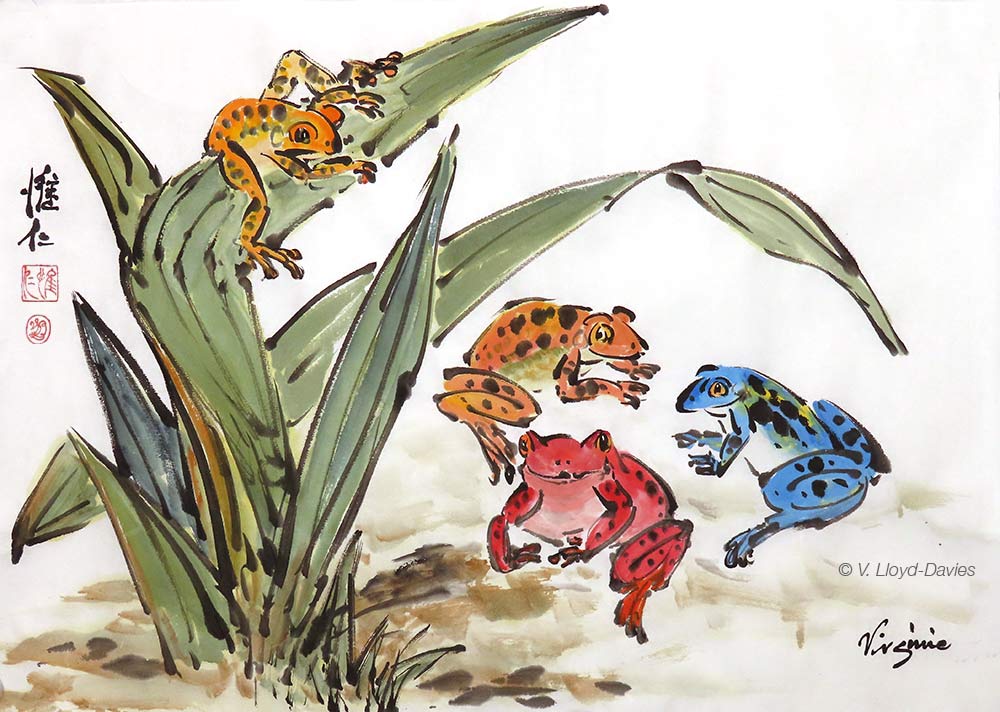 Four colored frogs