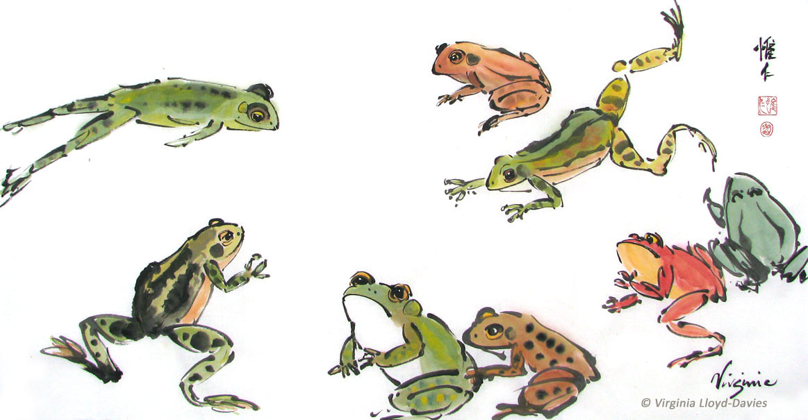 8 colored frogs Picture