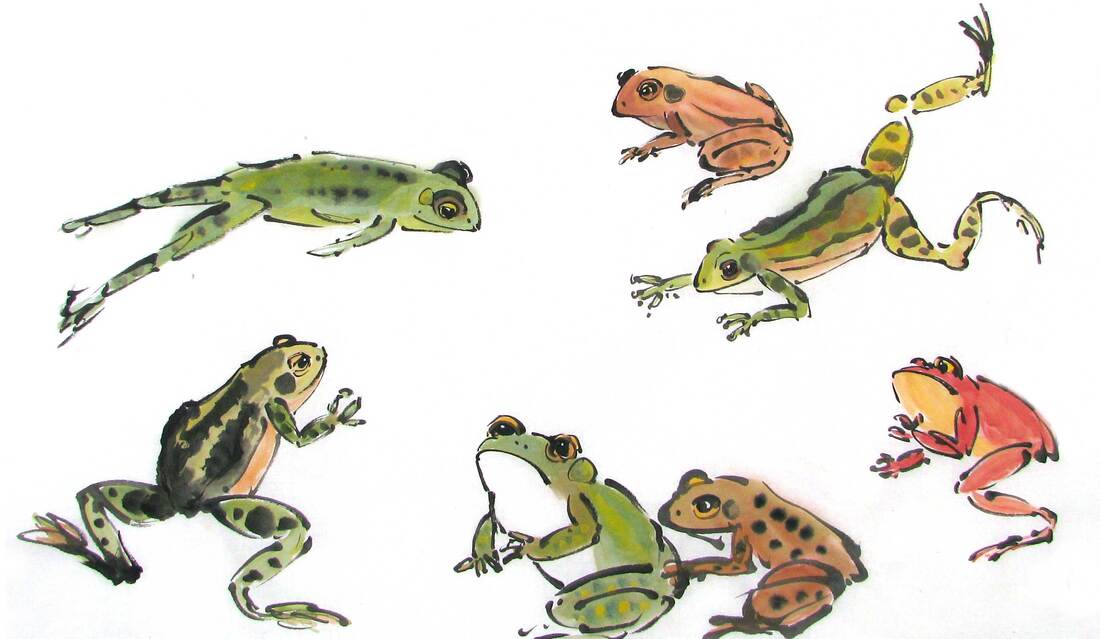 green, red and brown frogs