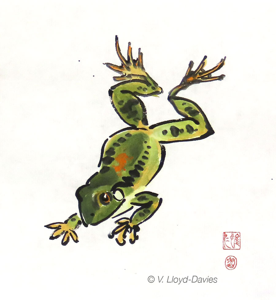 Green Frog Leaping down Picture