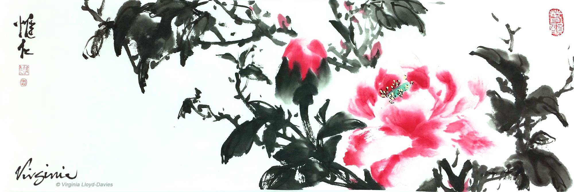 Chinese brush painting of red peony with black leaves
