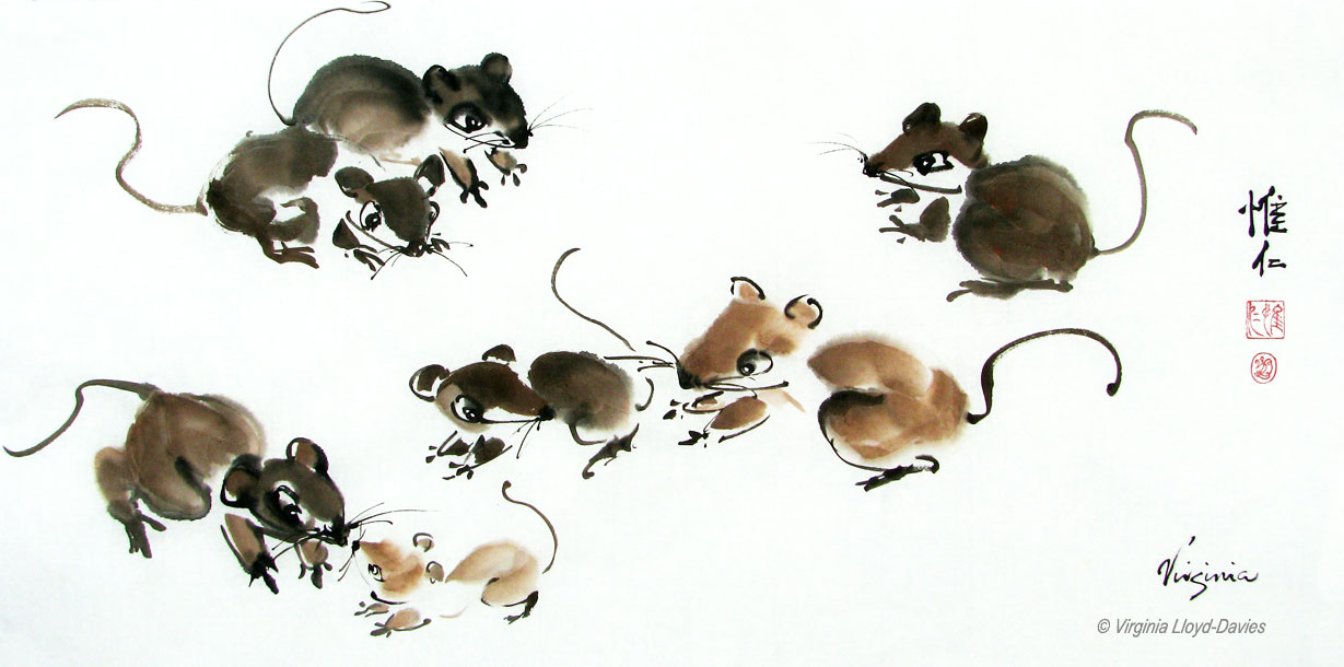 7 brown rats