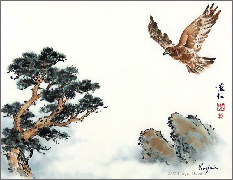 Hawk flying towards a pine tree with rocks