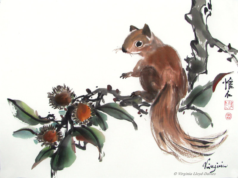 Brown squirrel sitting on branch